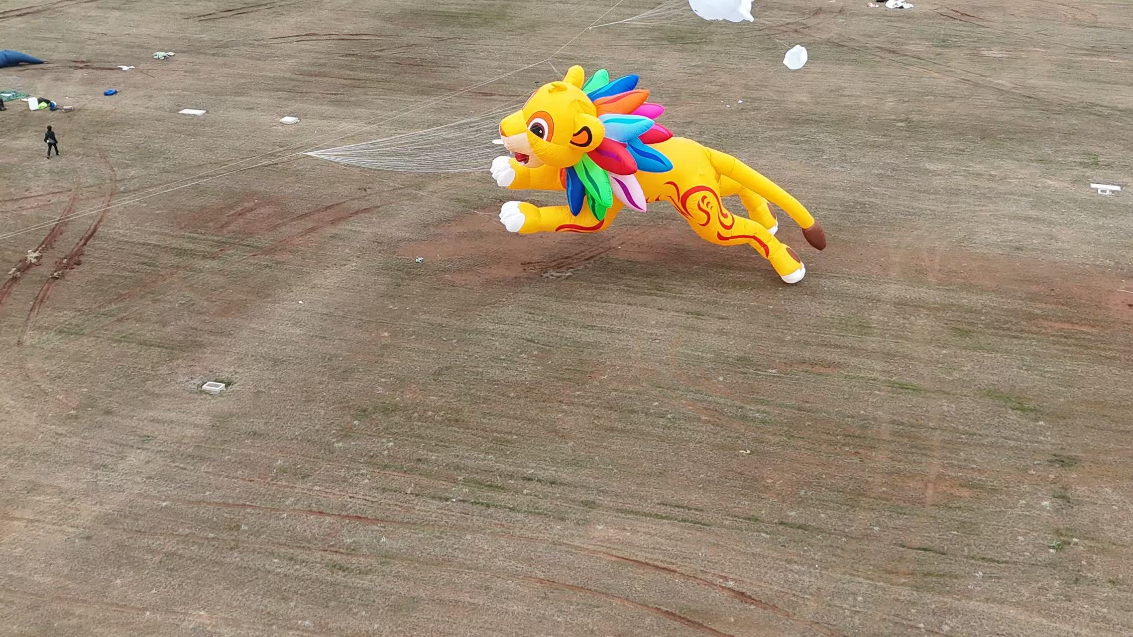 盘锦市品牌风筝定制风筝批发 - 价格