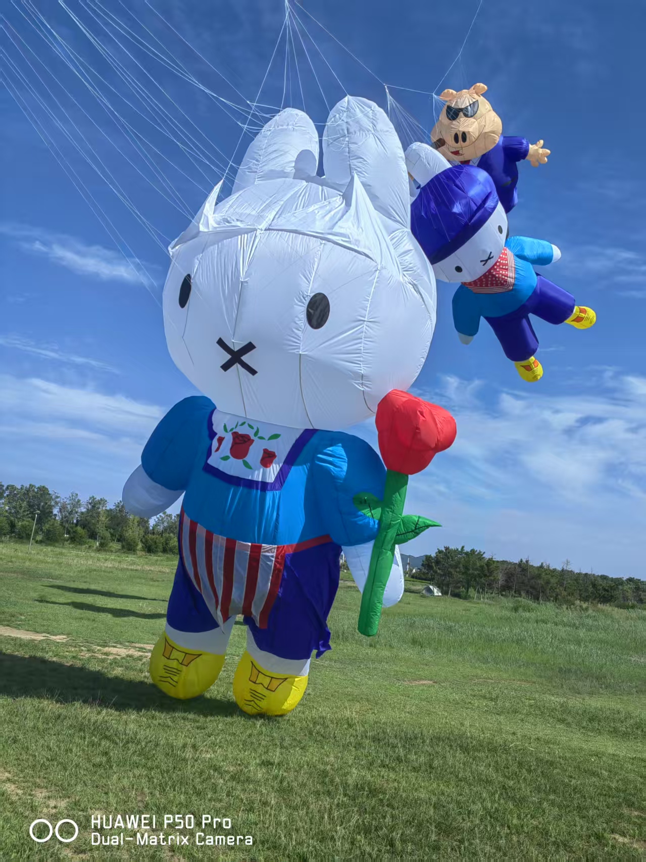 盘锦市儿童风筝定制风筝制作 - 一站式服务
